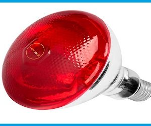 Infrared Heat Lamp 220V 100-275 Watts Red Heat Lamp