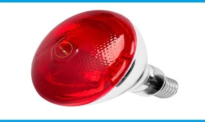 Infrared Heat Lamp 220V 100-275 Watts Red Heat Lamp