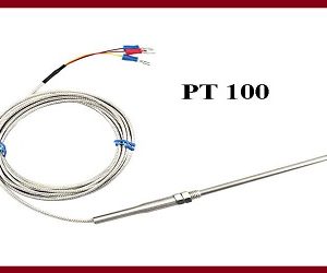 Pt100 Thermocouple 5x100mm with 2 Meter Cable